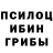 Галлюциногенные грибы мицелий Till 2000