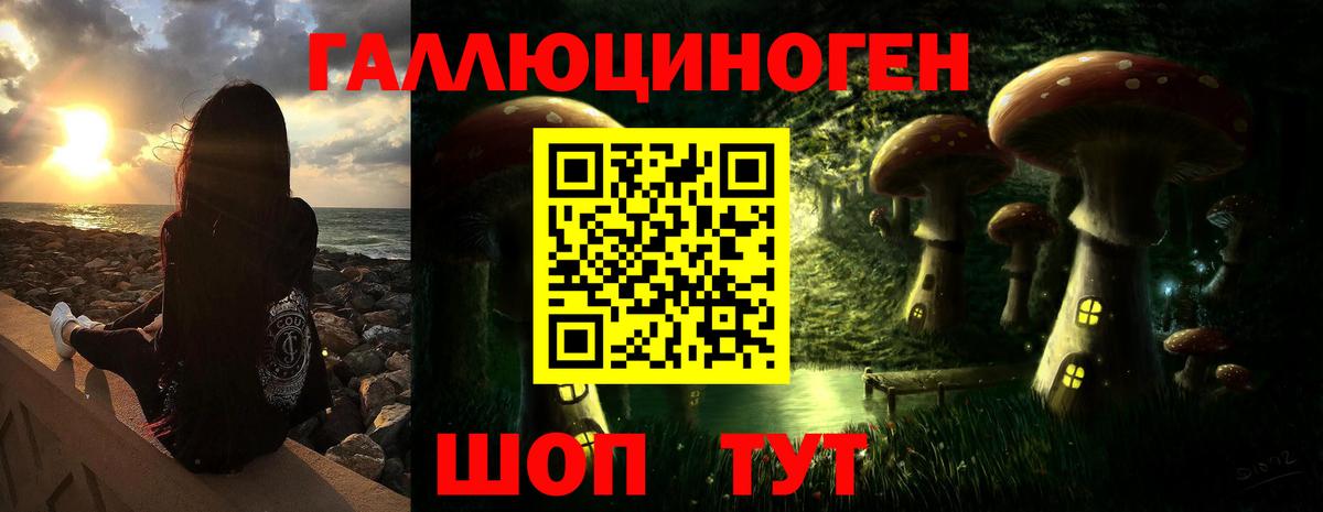 Арсеньев  Псилоцибиновые грибы MAGIC MUSHROOMS  Вход с VPN 